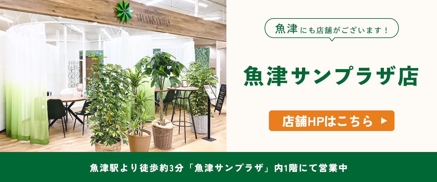 魚津にも店舗がございます！