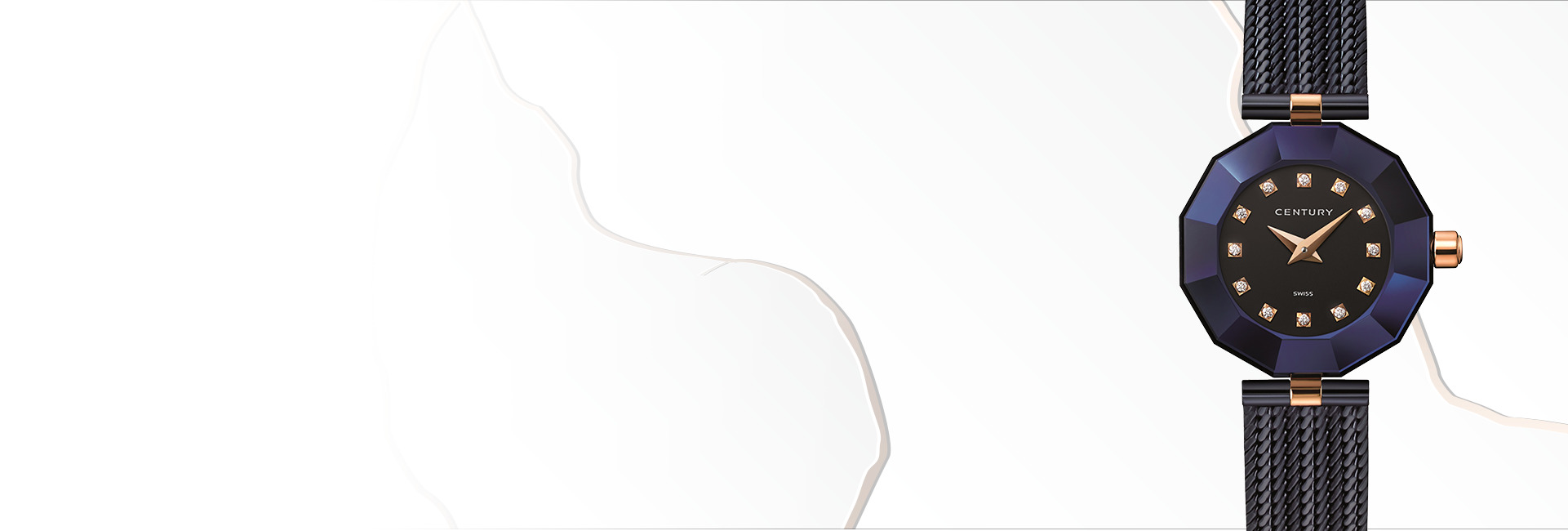 調布市のセンチュリー買取なら｜買取店わかばココスクエア調布国領店