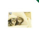 QUOカード　クオカード　買取