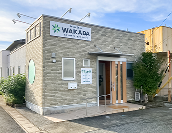 店